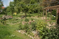 Garten Intschede (Kopie) (Kopie).JPG