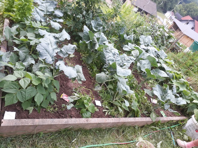 20180621_183833.jpg