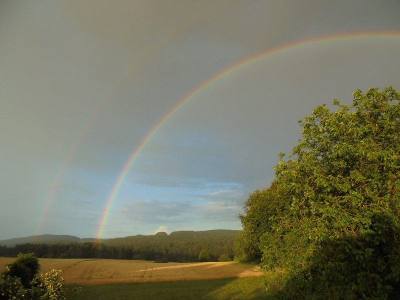 Goldtopf im Gerstenfeld.jpg