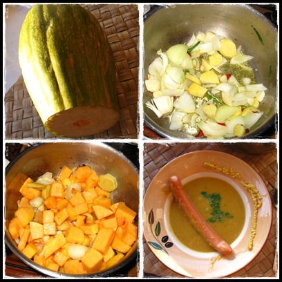 kürbissuppe in vier schritten.jpg