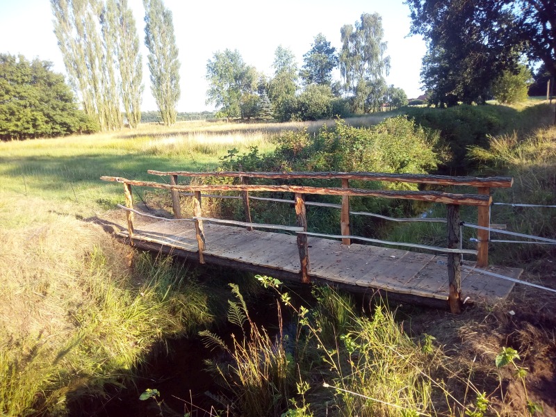 Das kam dabei raus
