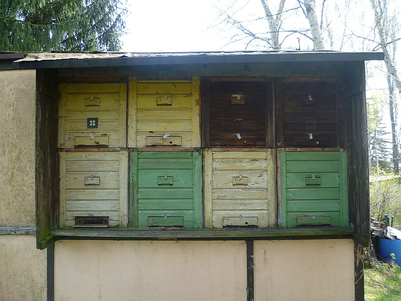 P1100406_k.jpg