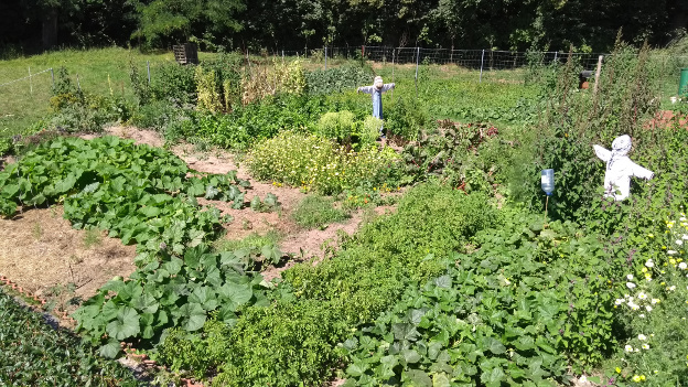 gartenjuli1.jpg