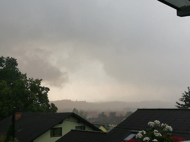 IMG_20180807_173528.jpg