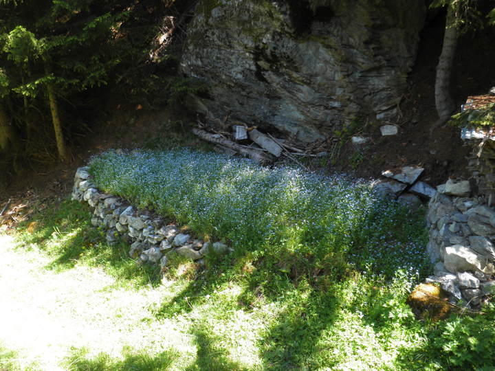 P03.jpg