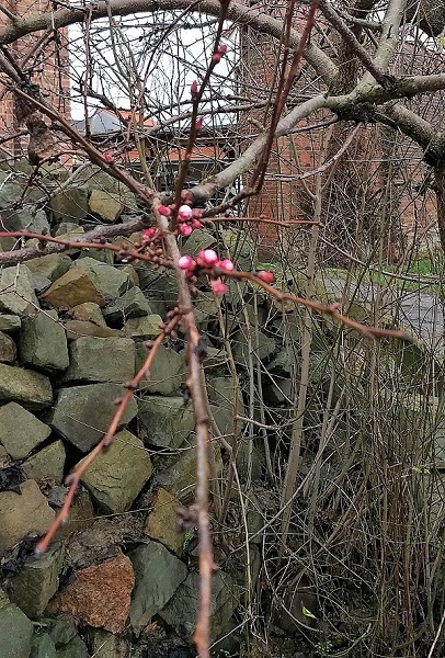 20190113_115923.jpg