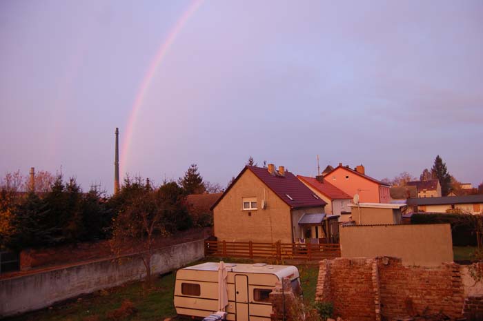 DSC_1165.jpg