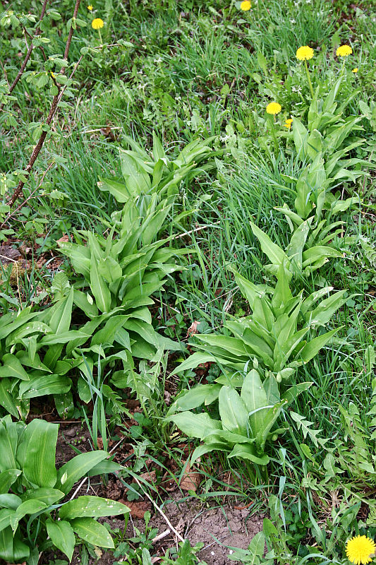 2012-04-29_3.jpg