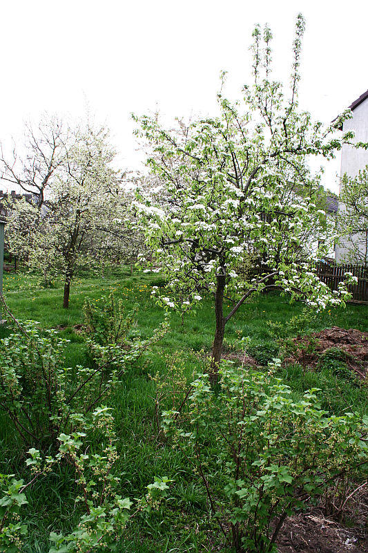 2012-04-29_4.jpg