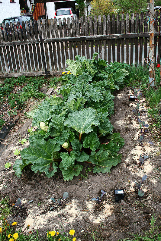 2012-04-29_6.jpg