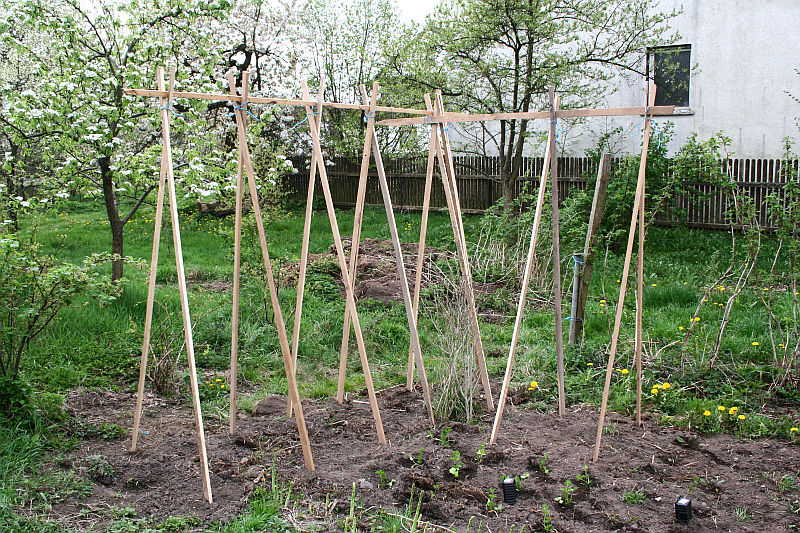 2012-04-29_7.jpg