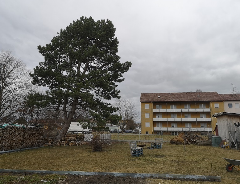 IMG_20190304_123138.jpg