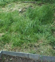 Photo1065.jpg