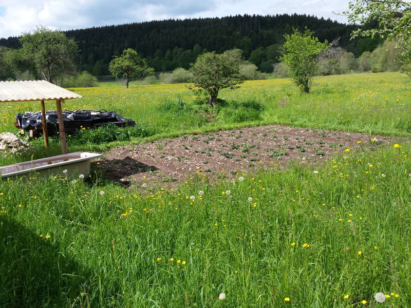 20190527_104729.jpg