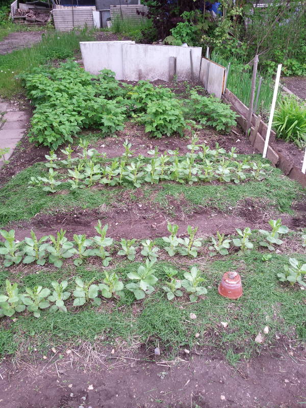 20190527_172604.jpg