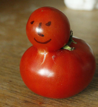 Tomatenente.jpg