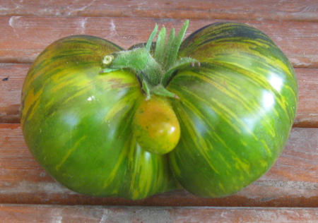 Tomate_Surpriz.jpg