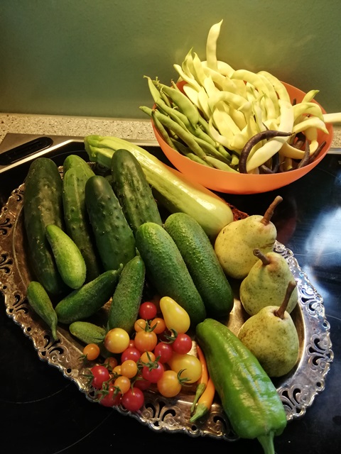 IMG_20190807_093110.jpg