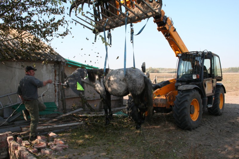 Gut das es hier so viele Freunde gibt....Alma iss nix passiert nur die Güllegrube ist hin ;-)