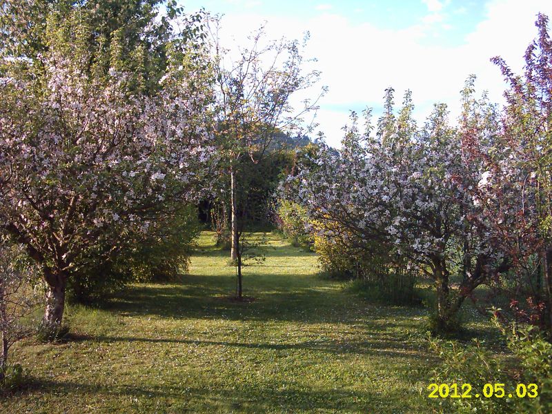IMG_0002a.jpg