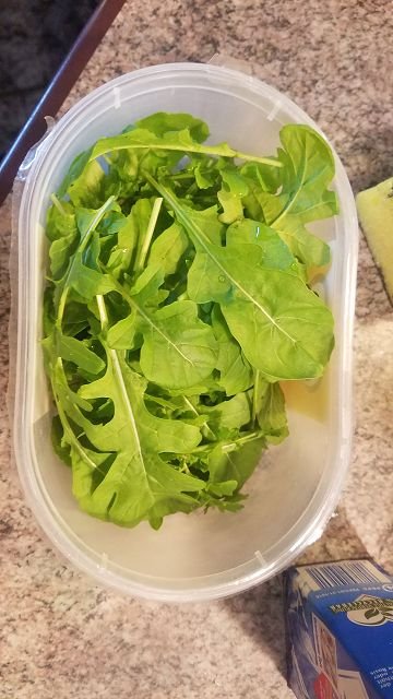 k-Rucola.jpg