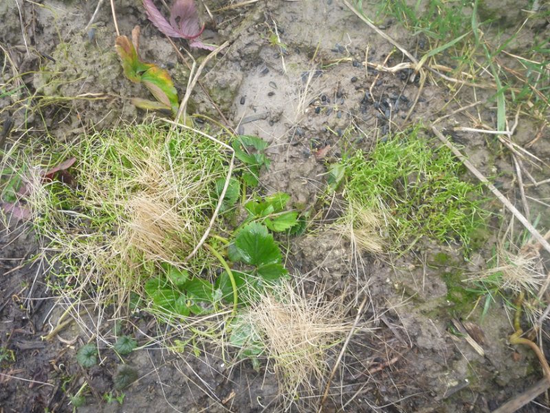 P1090056.JPG