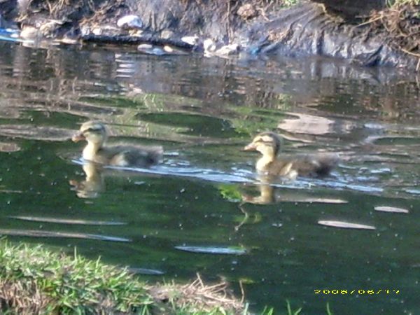 image83.jpg