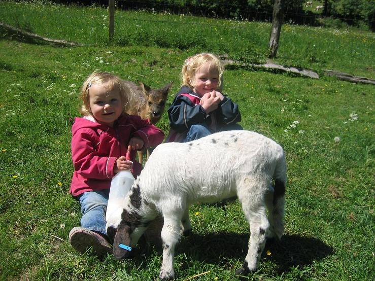Juli und Enie mit natürlich Bambi und SpongeBock