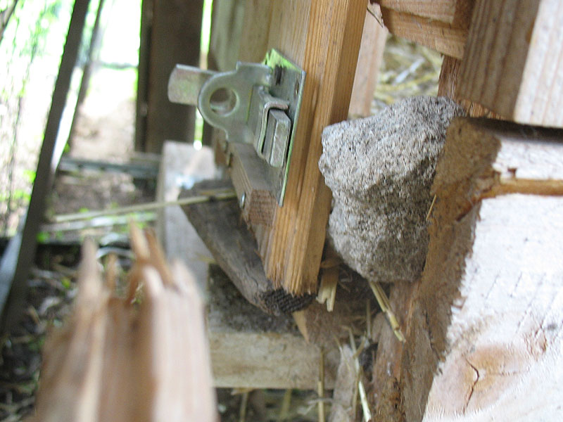 provisorisch gesicherte Tür