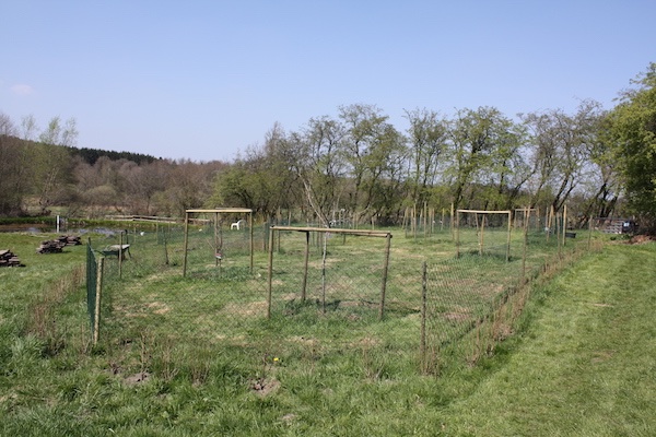 Obstwiese