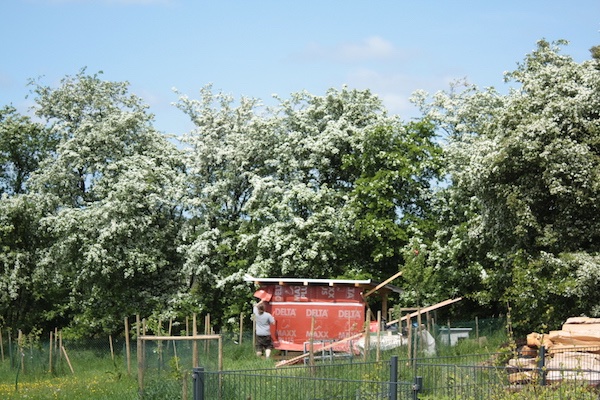 Entenstall