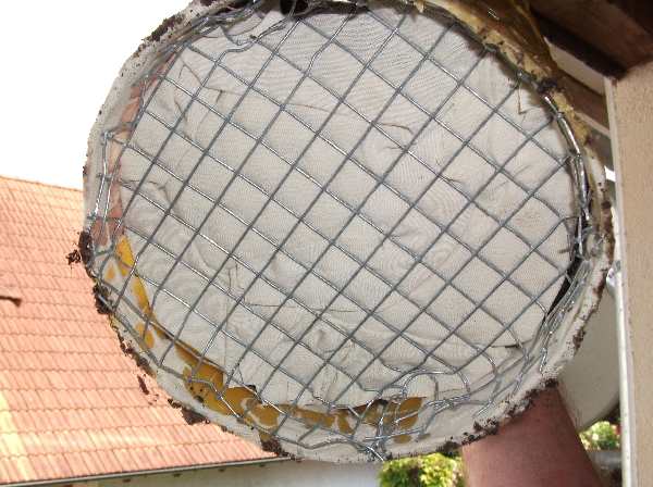 2012 Balkon Pflanzrohr 03 Boden.jpg