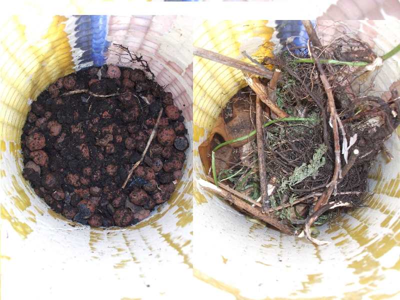 2012 Balkon Pflanzrohr Füllung.jpg