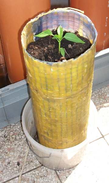 2012 Balkon Pflanzrohr 07 und fertig.jpg