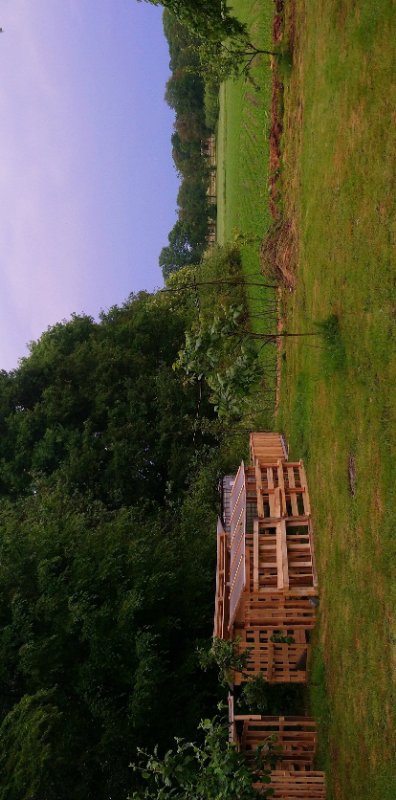 Gemüsegarten.jpg