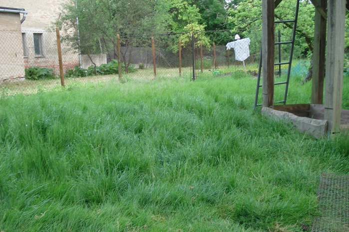 DSC08937.JPG