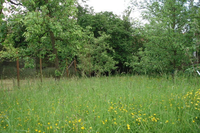 DSC08945.JPG