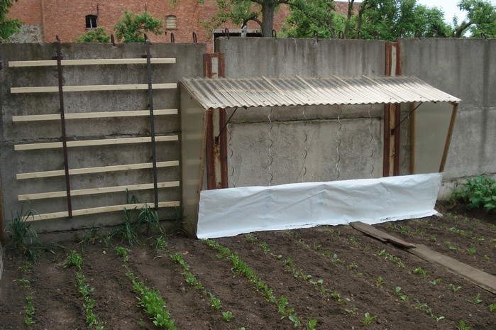 Tomatenhaus Nummer 2 und nebenan die Rankhilfe für Gurken oder Bohnen.