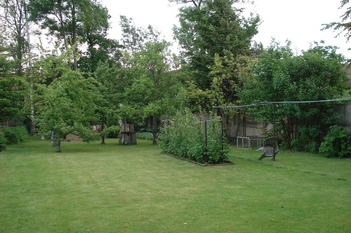 DSC08938.JPG