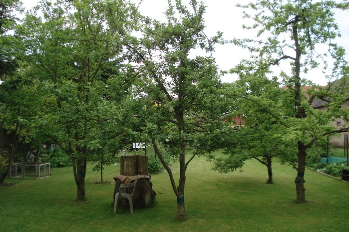 DSC08959.JPG