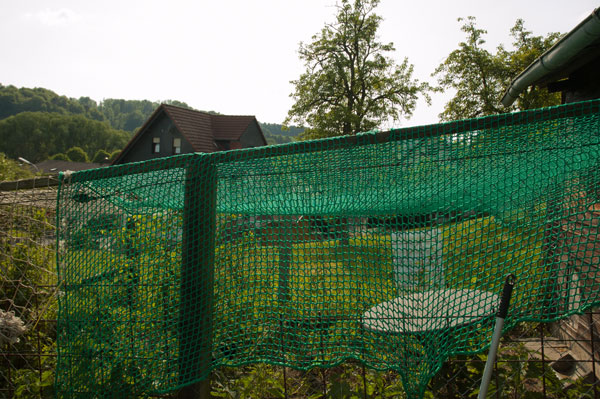Gesamtansicht Netz