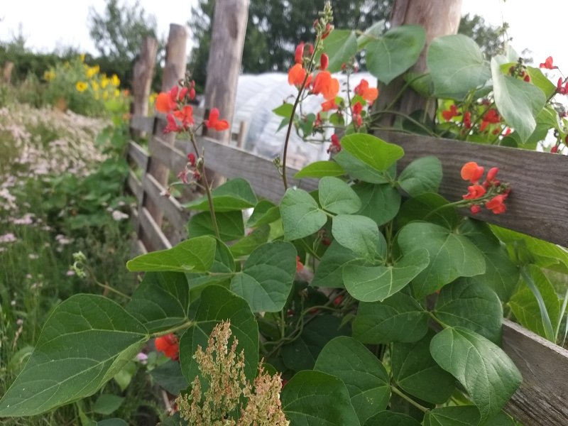 20240805_075219_copy_1416x1062.jpg