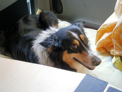 Das Hundi
