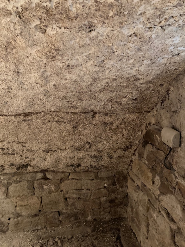 IMG_1796.jpeg