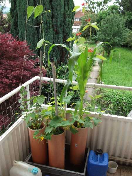 2012-06 Balkon 1 1.jpg