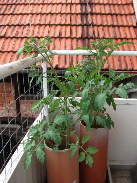 2012-06 Balkon 2 1.jpg