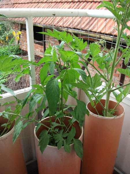 2012-06 Balkon 2 2.jpg