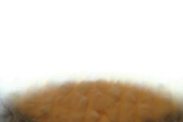 k-IMG_5220.JPG