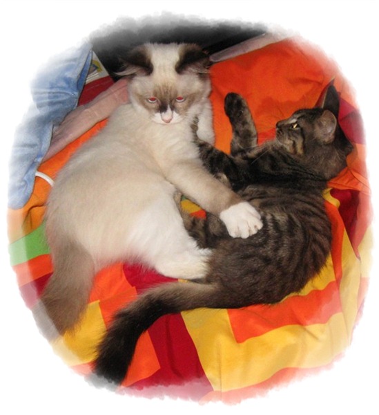 maya und johnny.JPG
