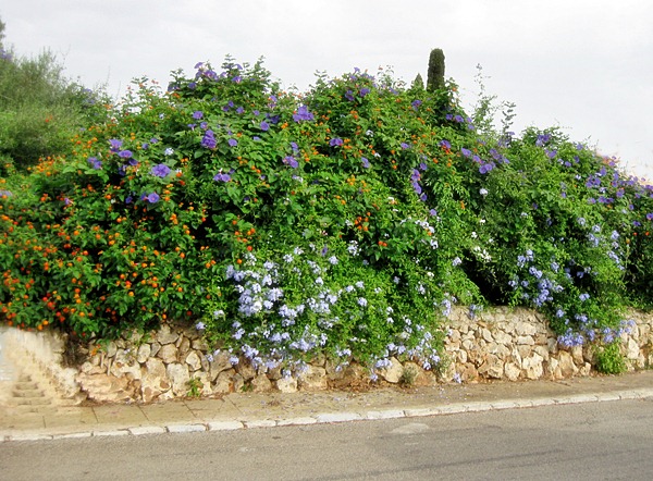 neue gartenmöbel 005.JPG